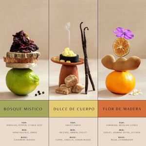 Nopalera | Hand Cream Trio