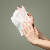 Noshinku | Sanitizing Hand Wipes