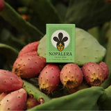 Nopalera | Cactus Soap | Lemongrass