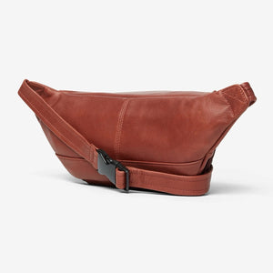 Osgoode Marley RFID organizer waistpack with multiple compartments, shown from the back view, designed for secure storage during travel.