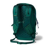 Cotopaxi Elqui 24L backpack in vibrant kale color with adjustable straps and multiple compartments for versatile travel and daily use.