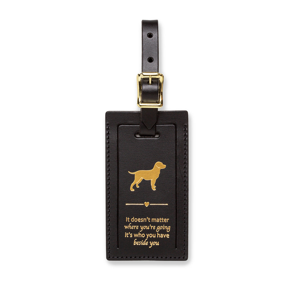The Index Tag | Dog + It Doesn't Matter Where You're Going... - Index Urban